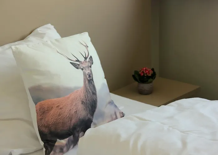 Hotel Jotunheimen Fjellstue 3*